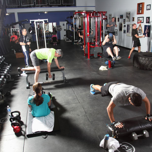 Complimentary 1st class – Gators Gym