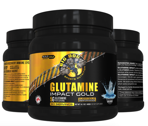 Big Dog Glutamine Impact Gold