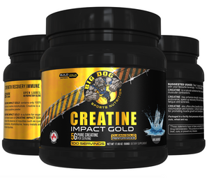 Big Dog Creatine Impact Gold